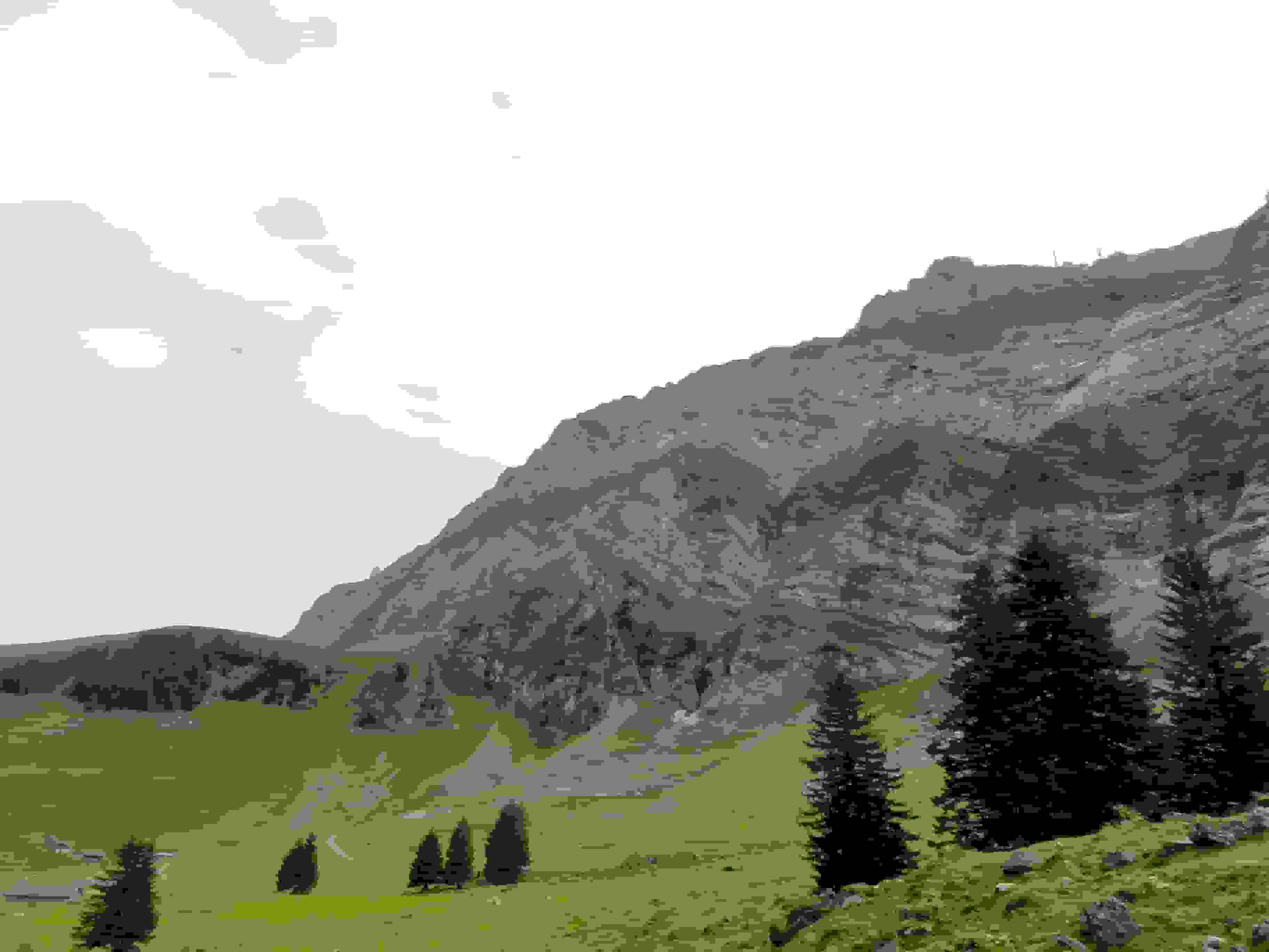 Blick zur Chammhalden