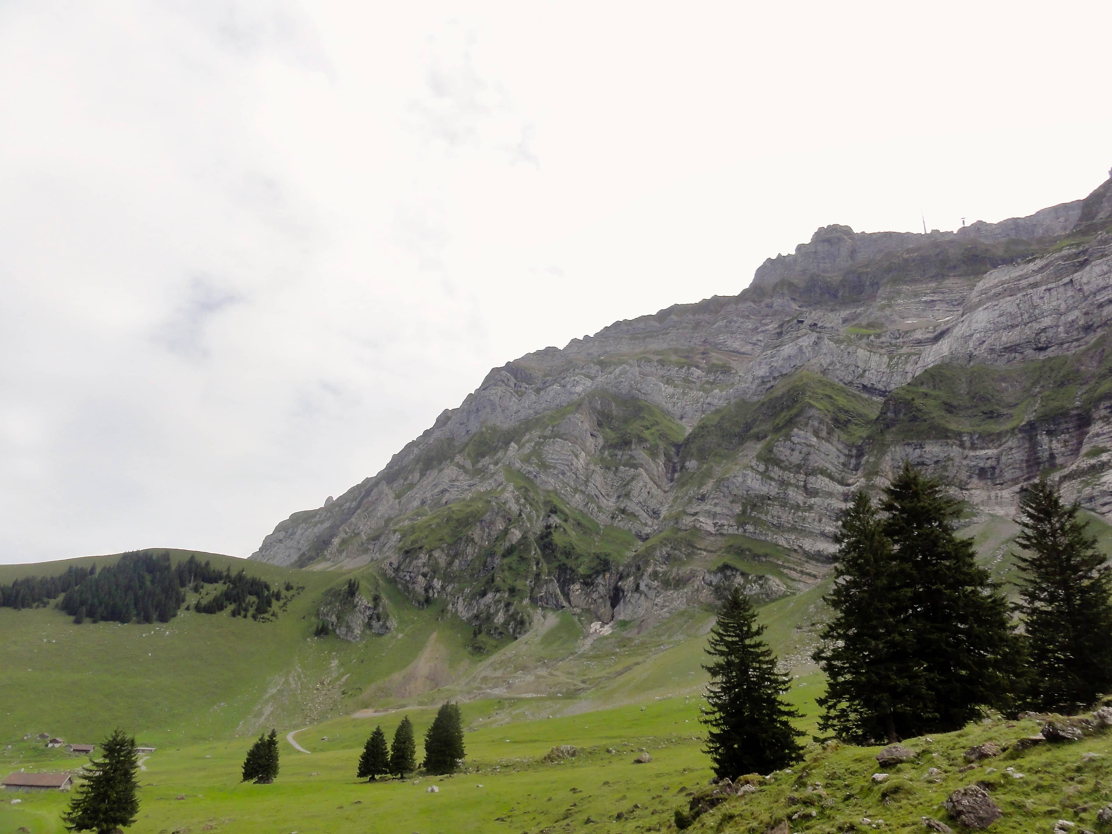 Blick zur Chammhalden
