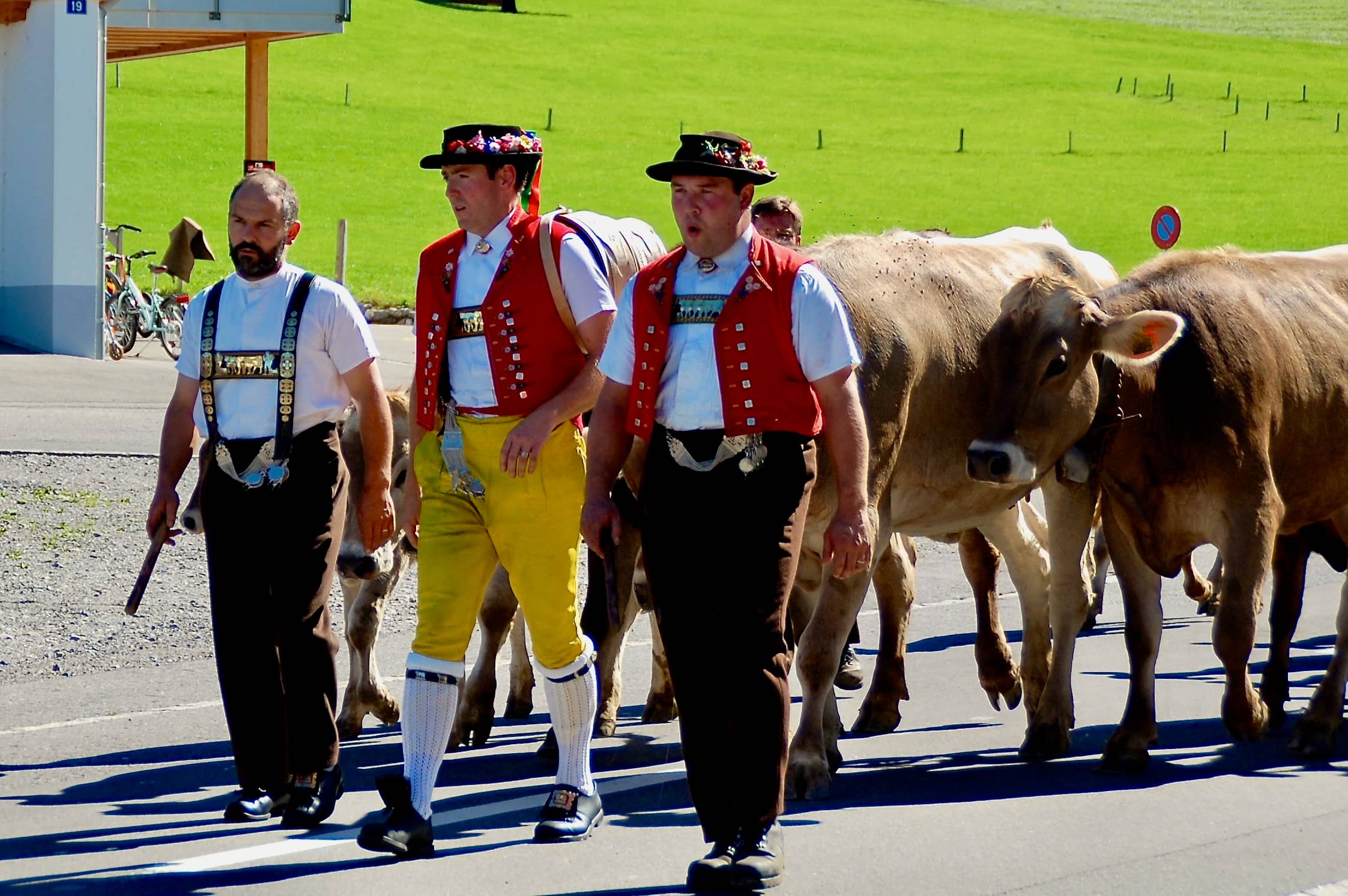 Es wird gezäuerlt – wunderschön
