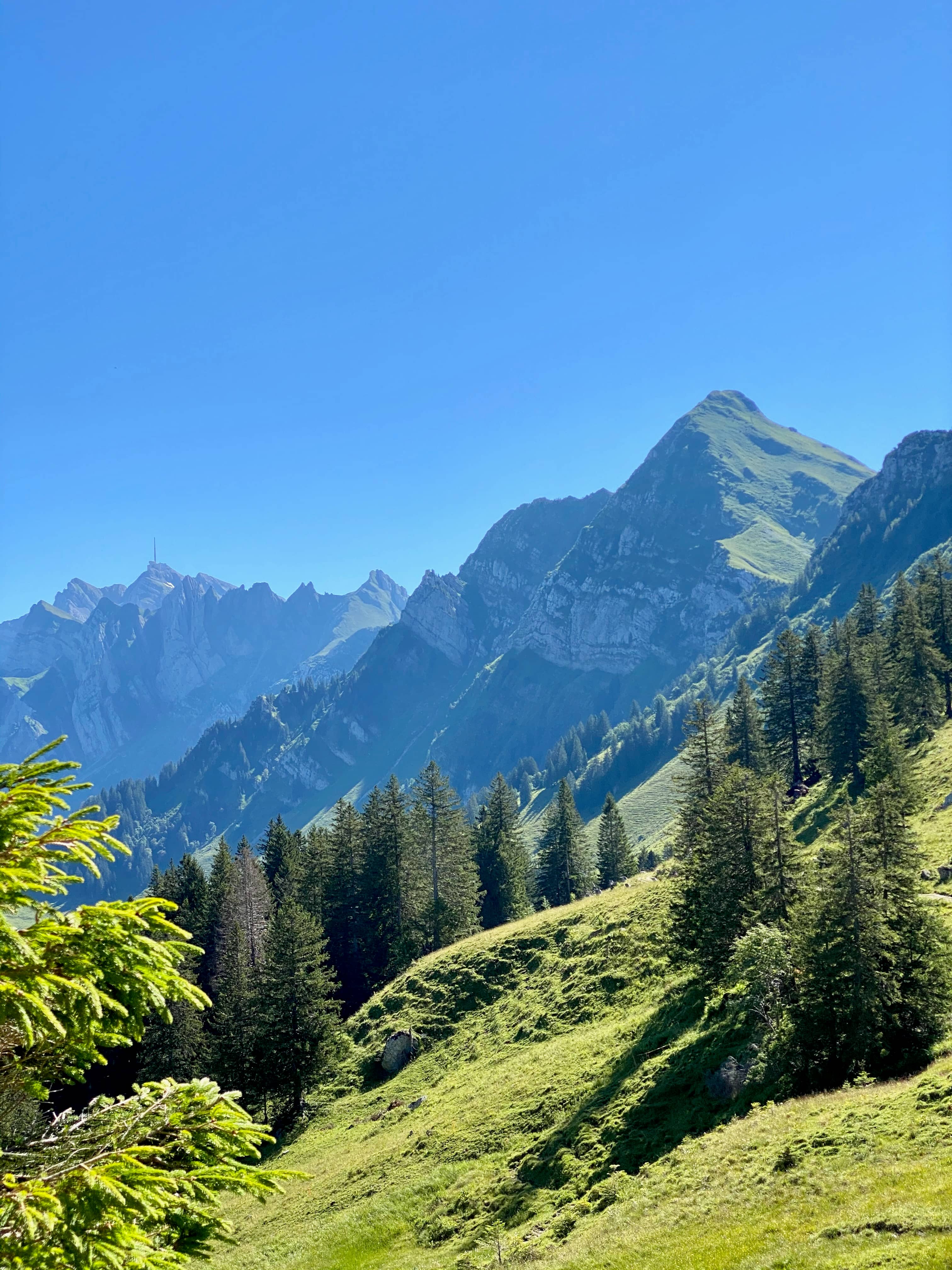 Blick zurück zum Lütispitz