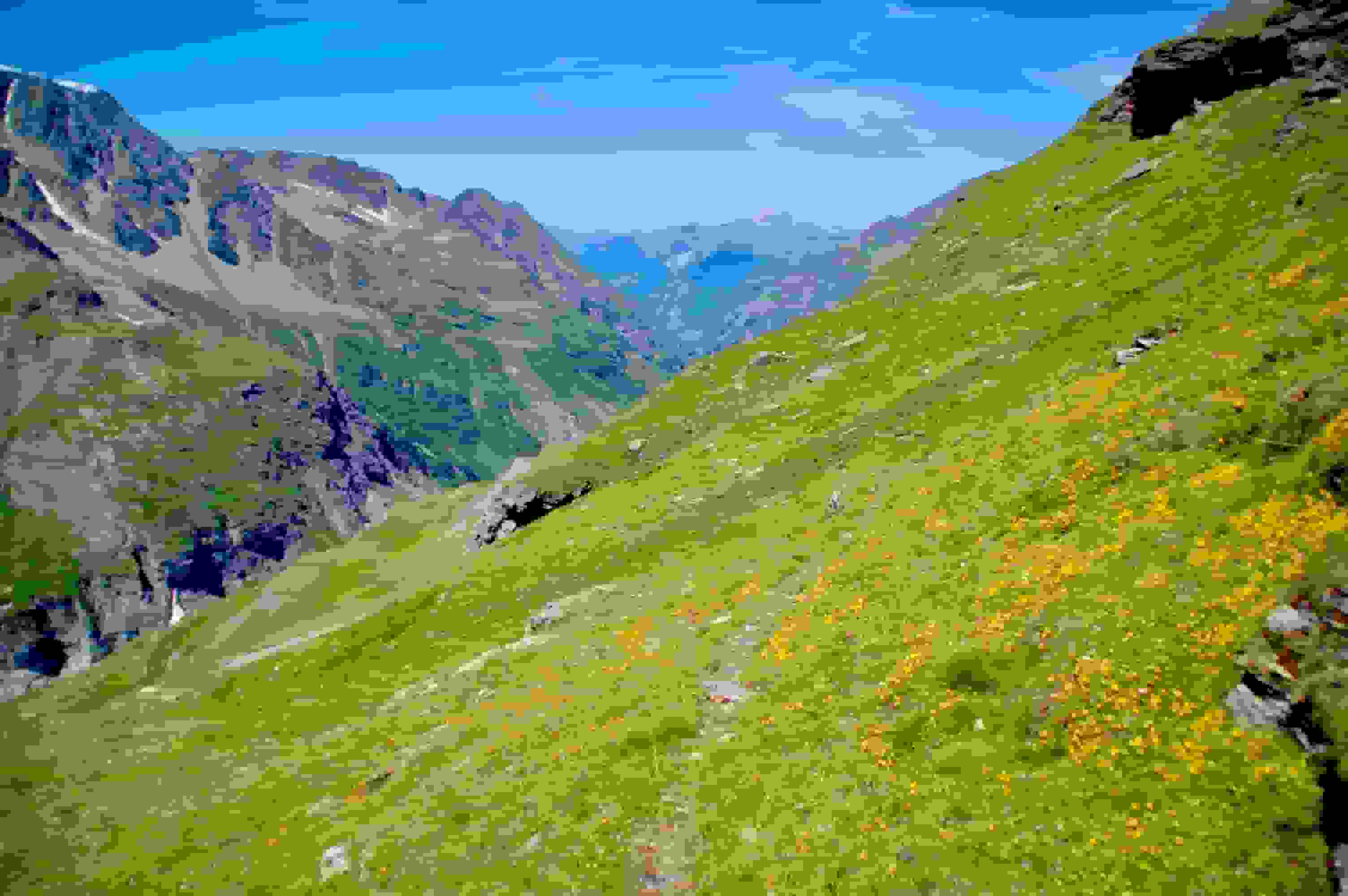 Wegspuren erleichtern den Aufstieg. Es führen aber nicht alle nach oben.