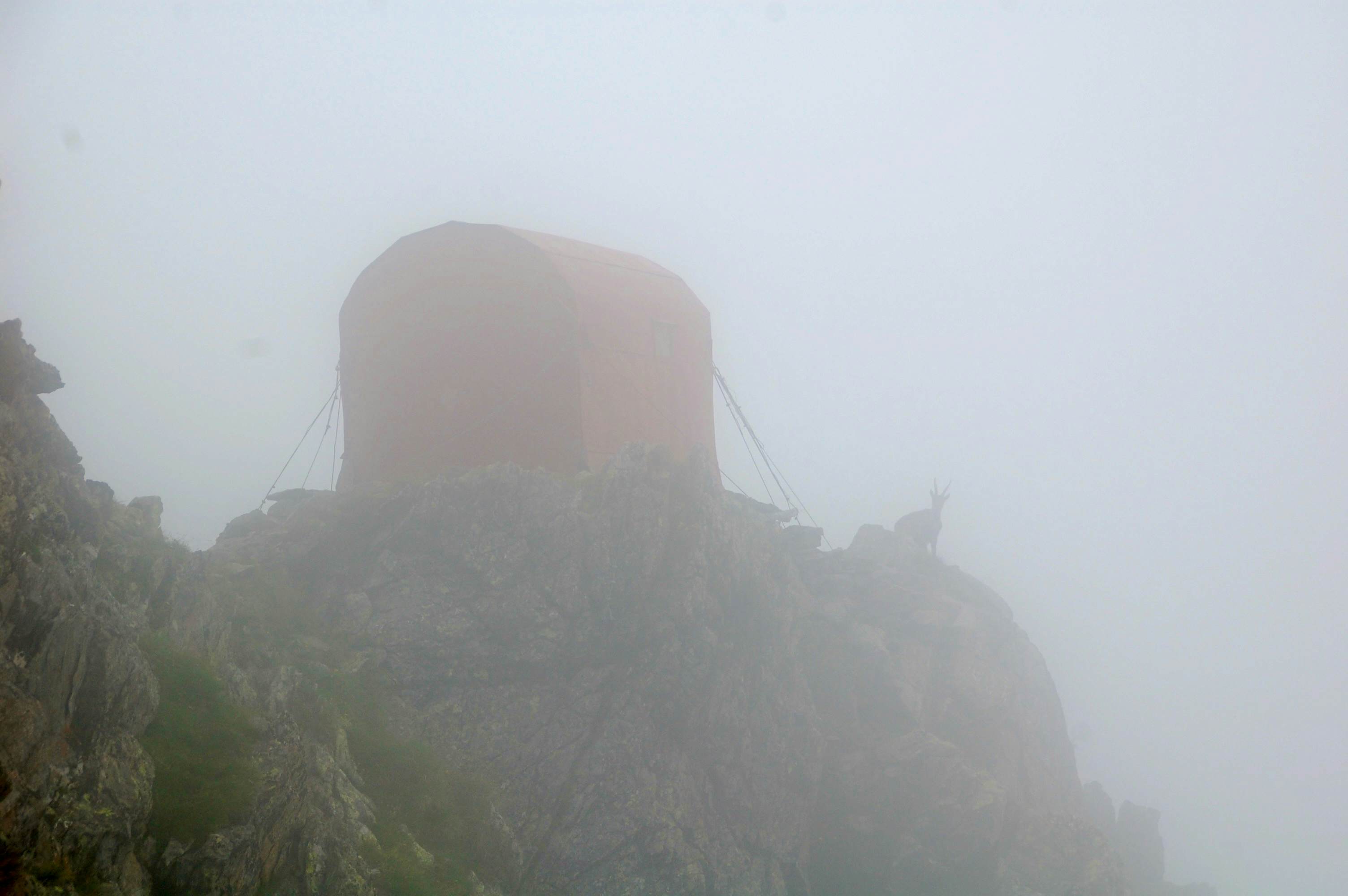 Endlich: Das Biv. Varese taucht im Nebel auf