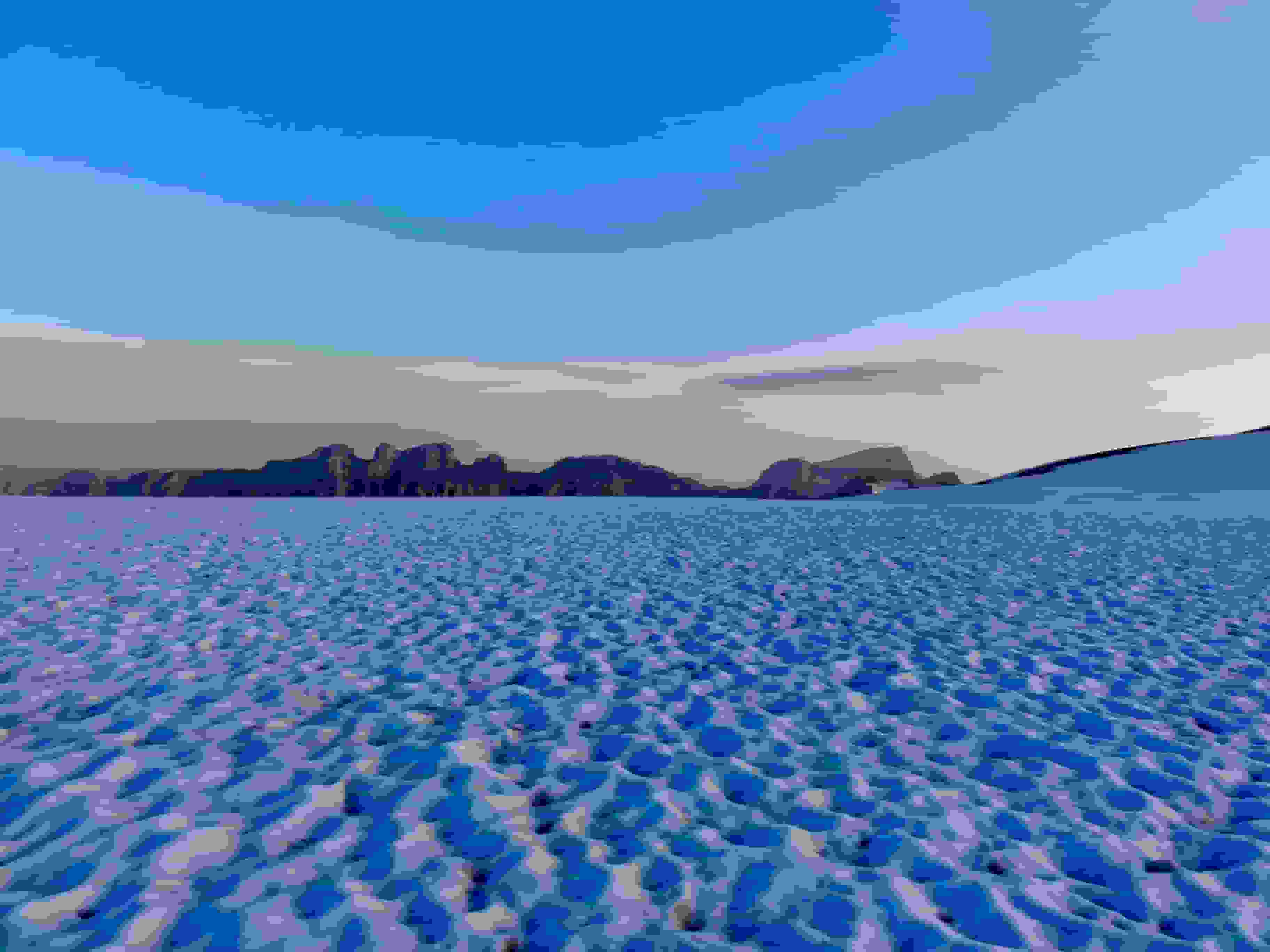 Steigletscher - und dahinter der Titlis in der Morgendämmerung im August 2011