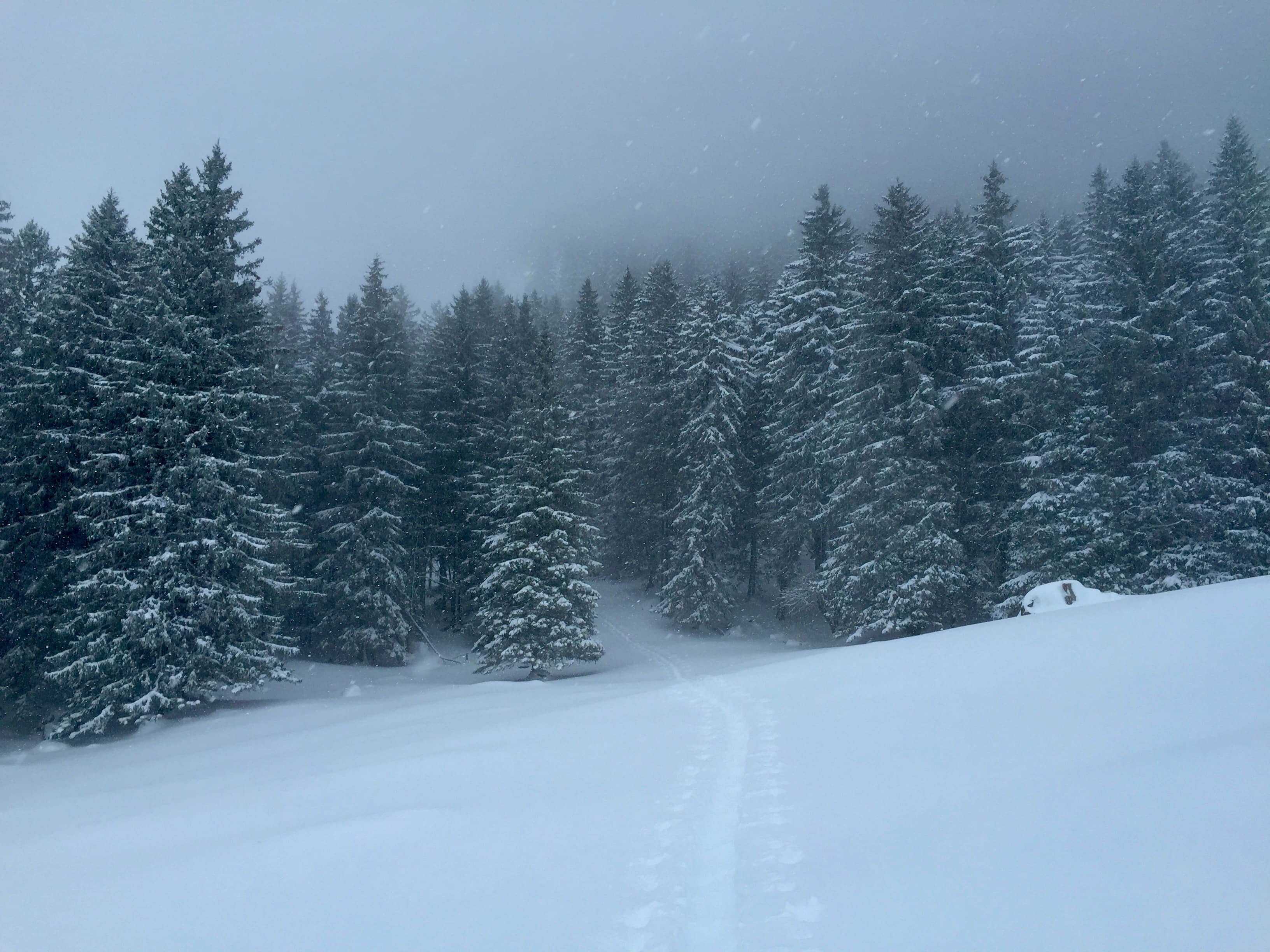Dominierende Farben heute
