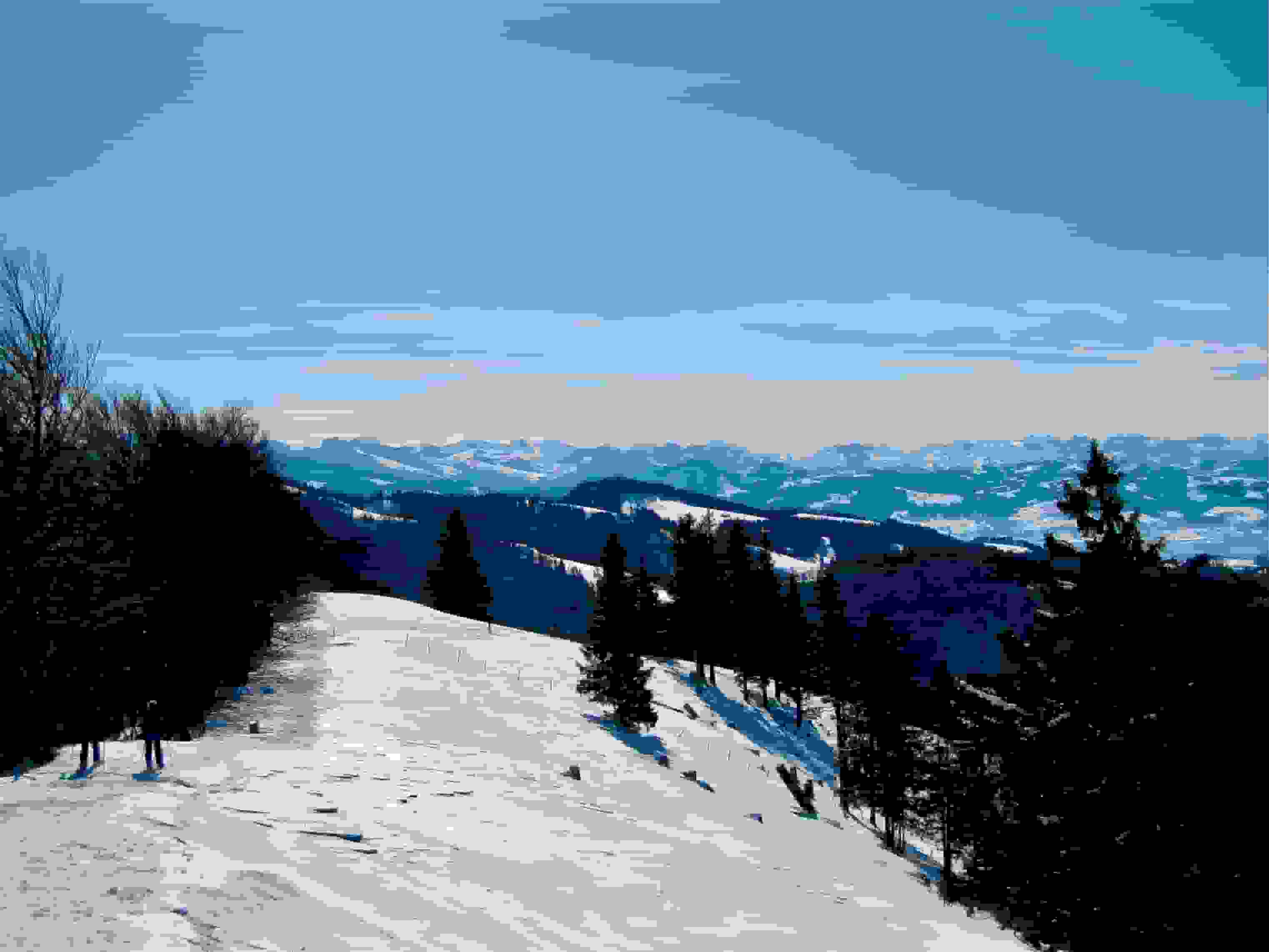 Blick vom Schnebelhorn in die Alpen