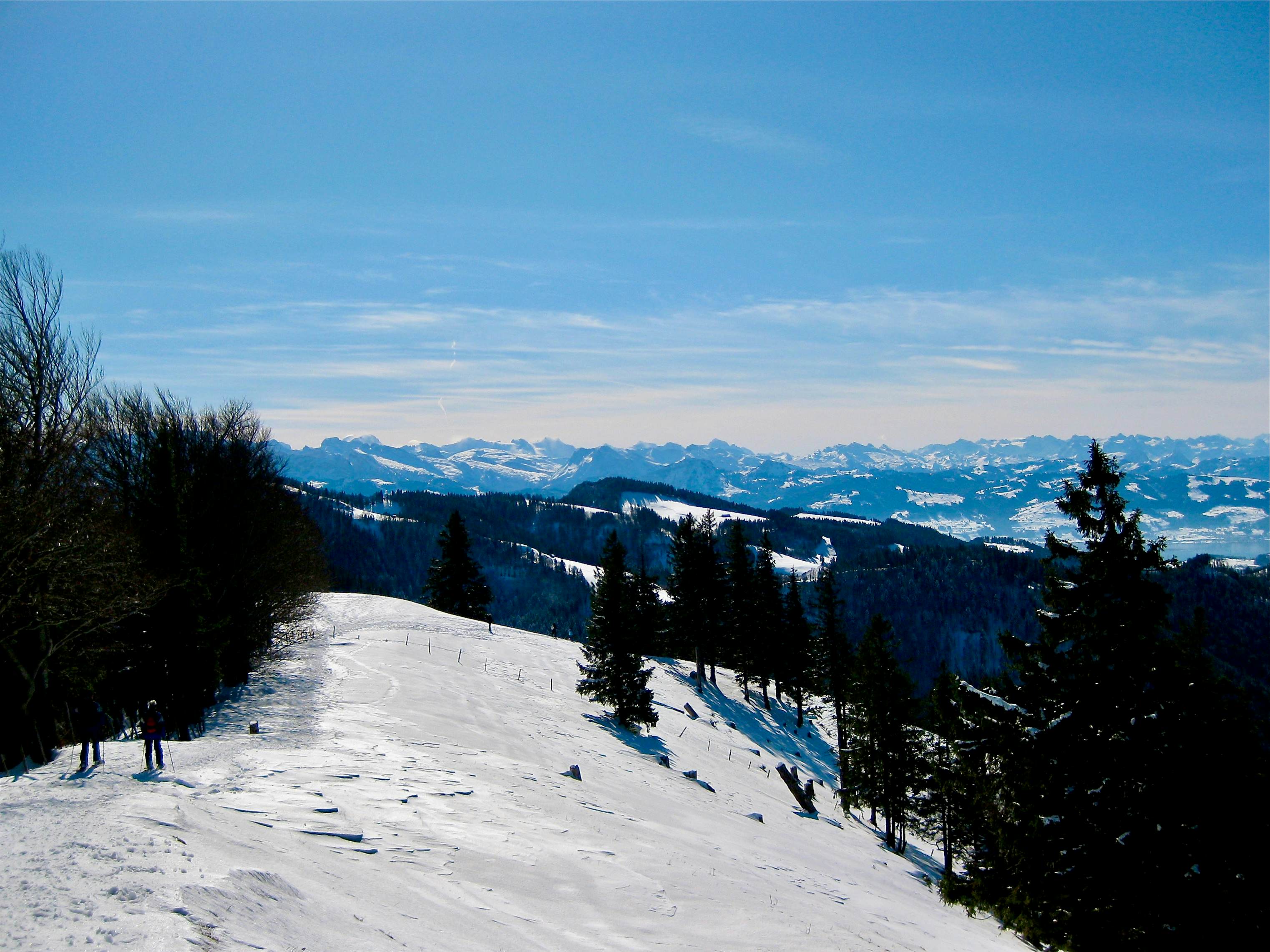 Blick vom Schnebelhorn in die Alpen