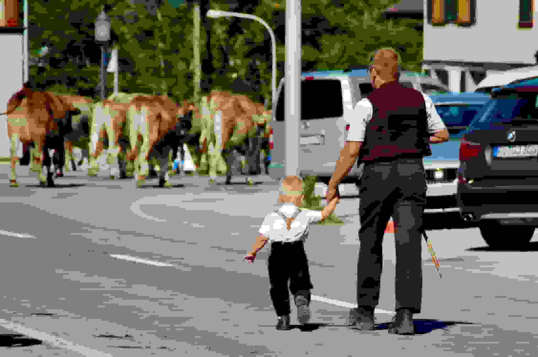 Der Landwirt mit seinem Sohnemann