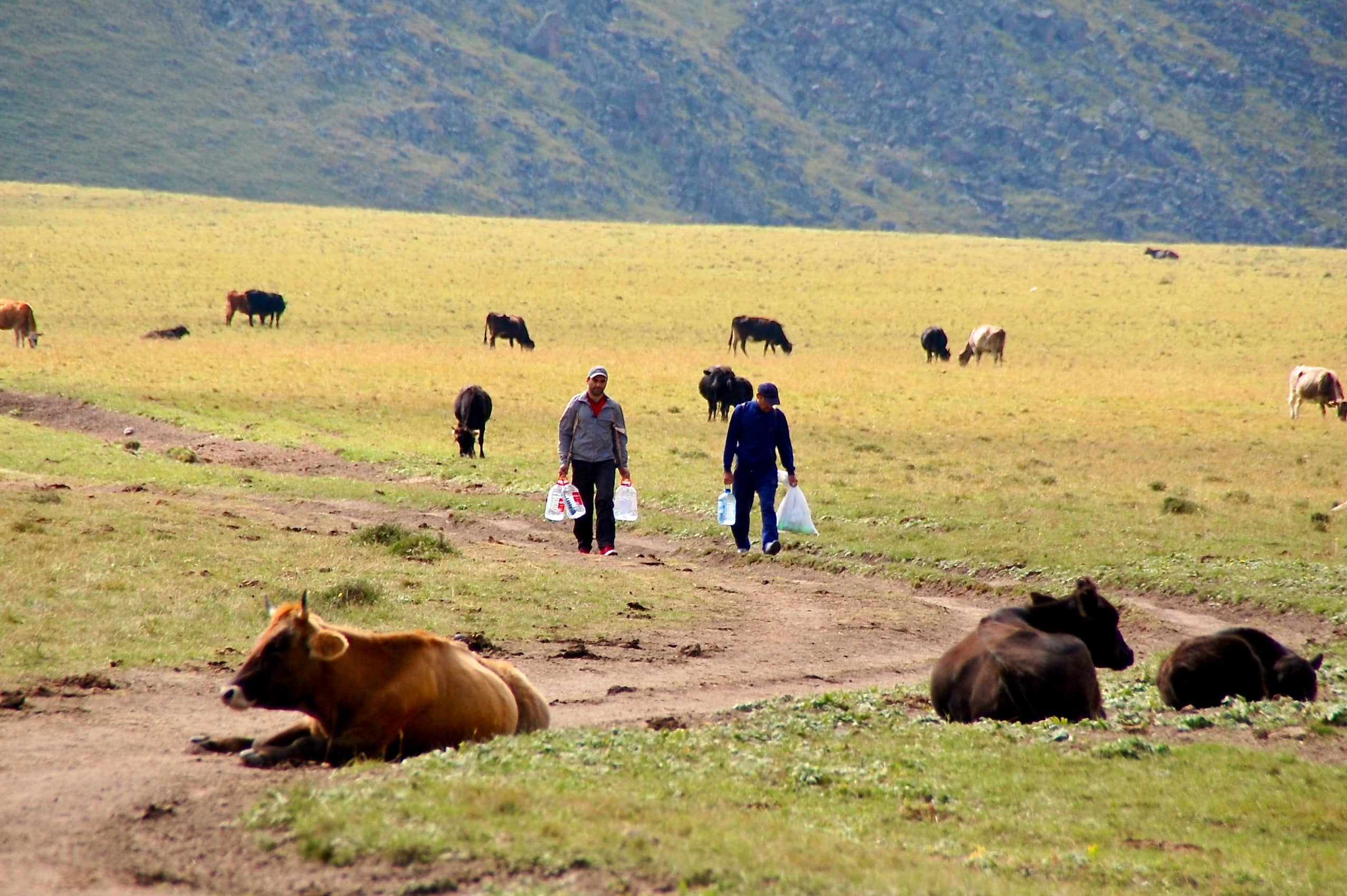 Viele kommen mit dem Auto nach Dzhyly-Su und wandern dann zu den Silver Springs, um Wasser zu holen und ein Bad zu nehmen.