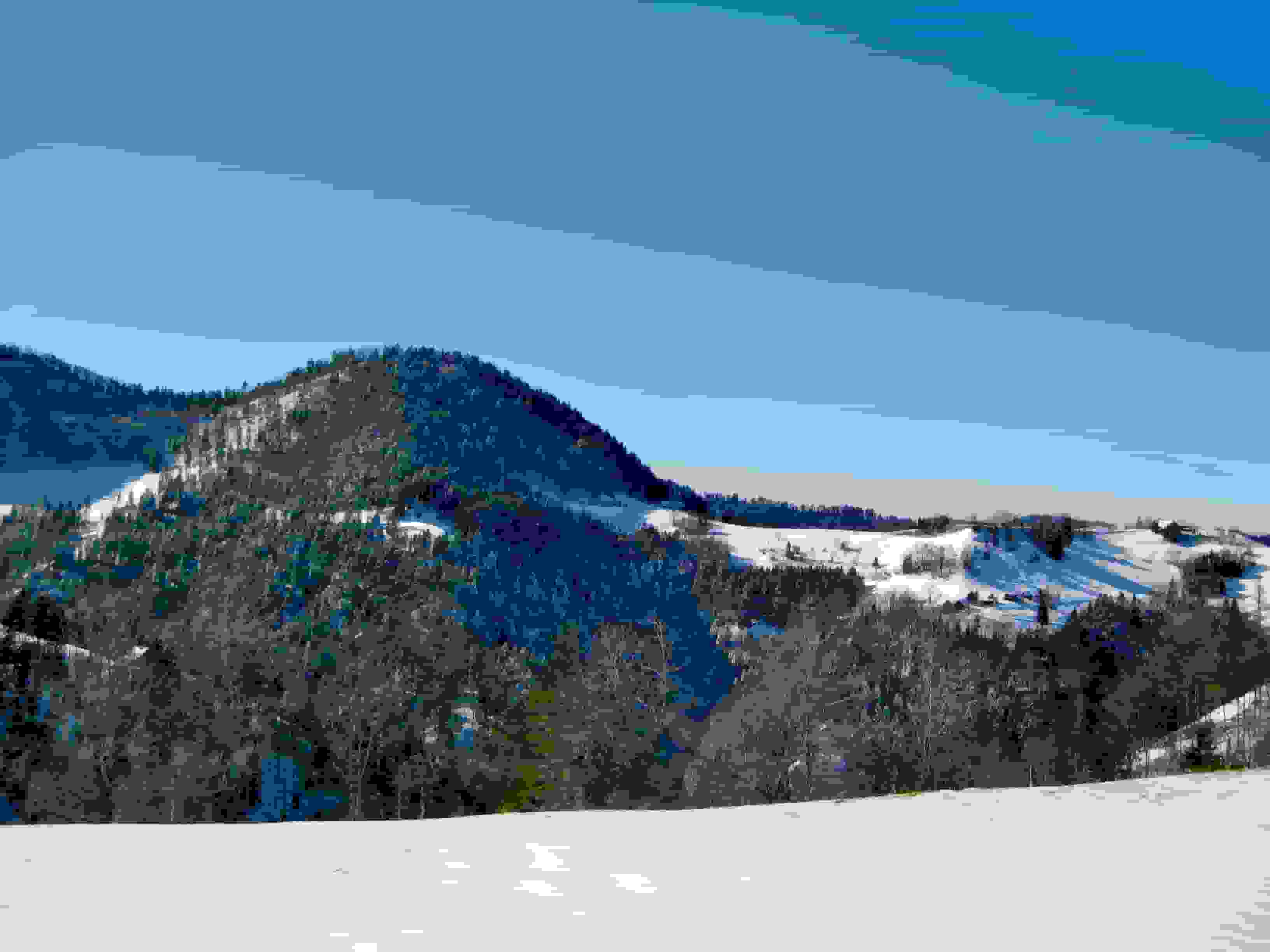 Aufstieg aus dem Brüttentobel