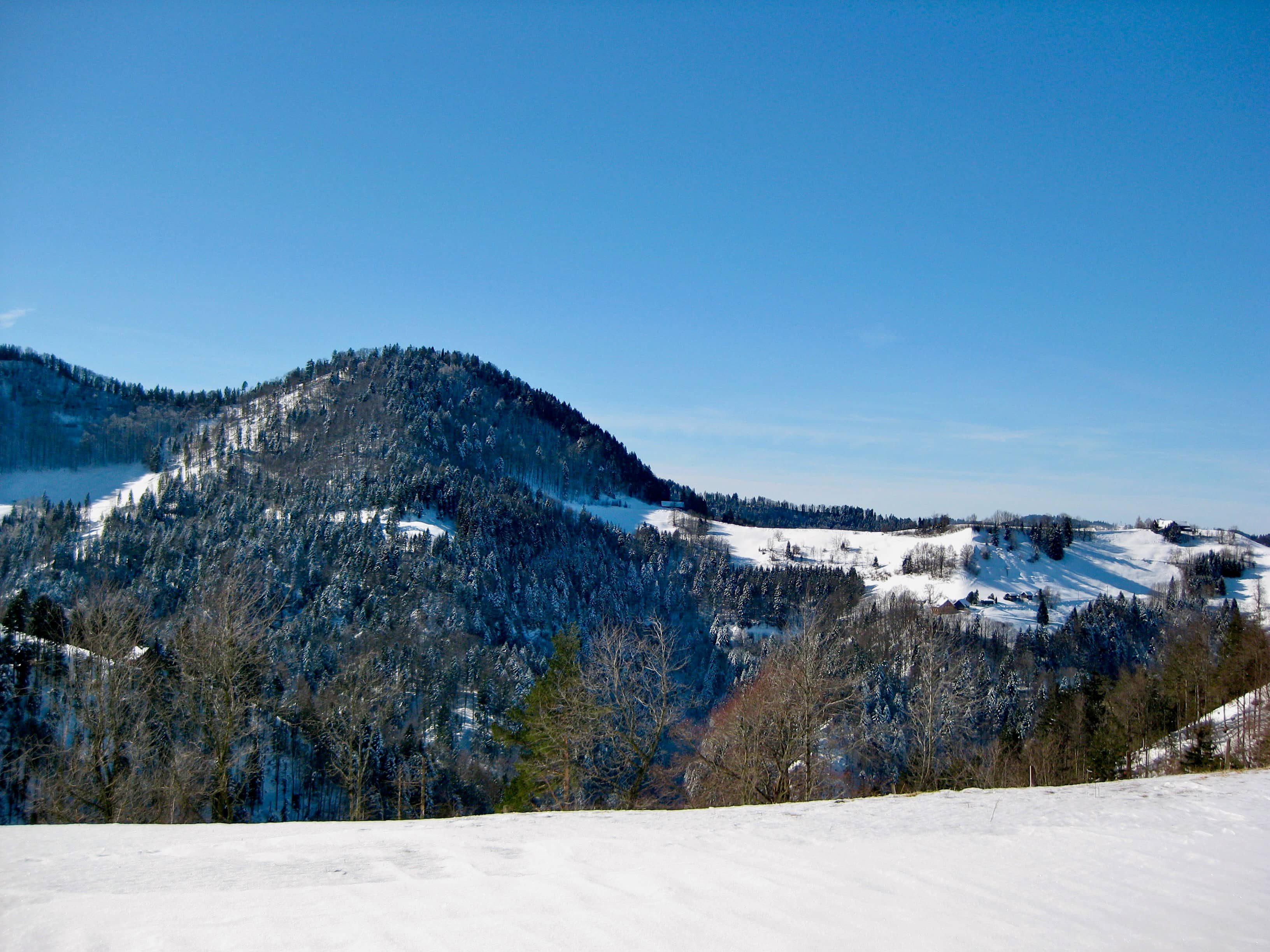 Aufstieg aus dem Brüttentobel