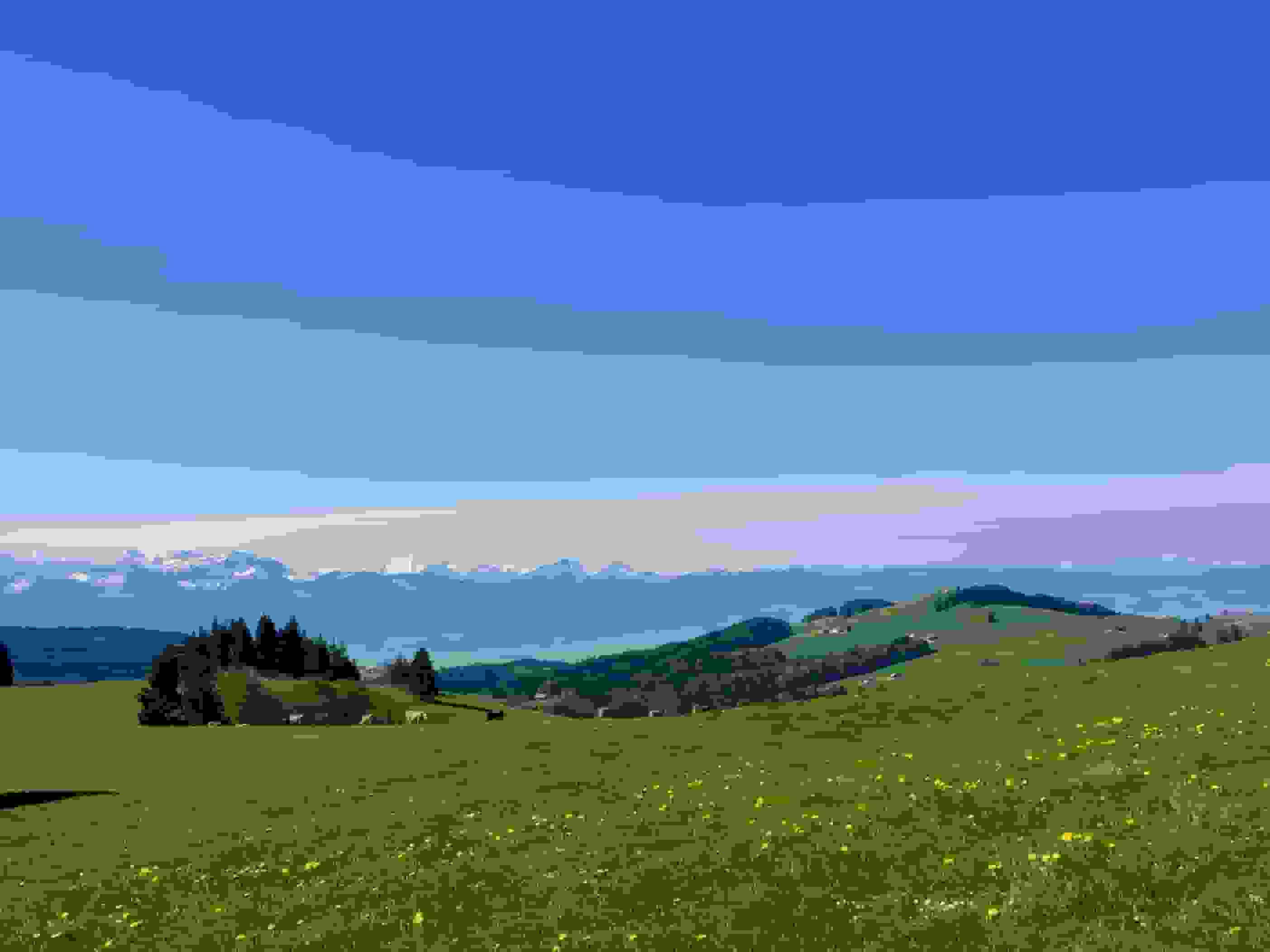 In der Nähe von Laad