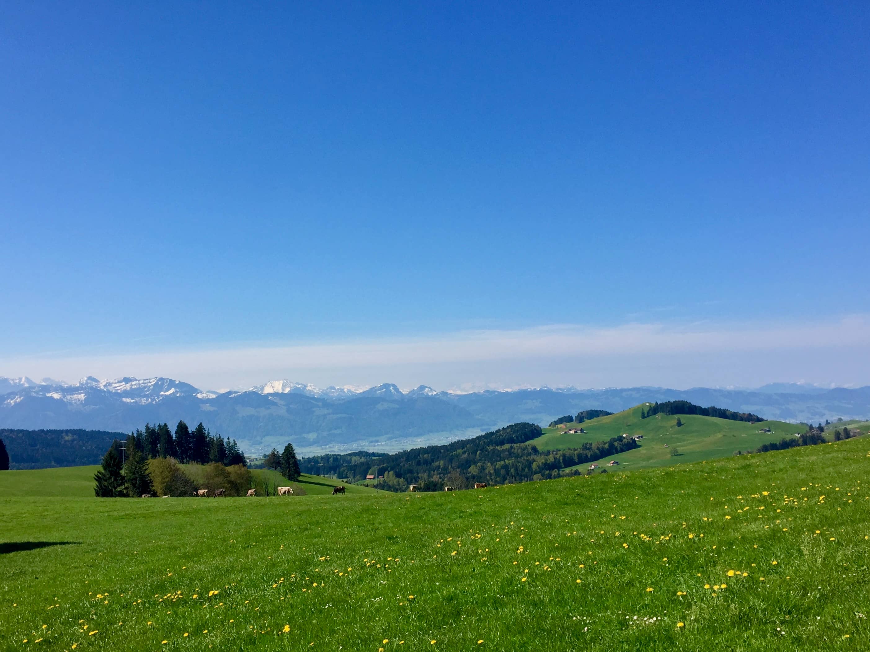 Titelbild Tour Von Wattwil zum Bachtel