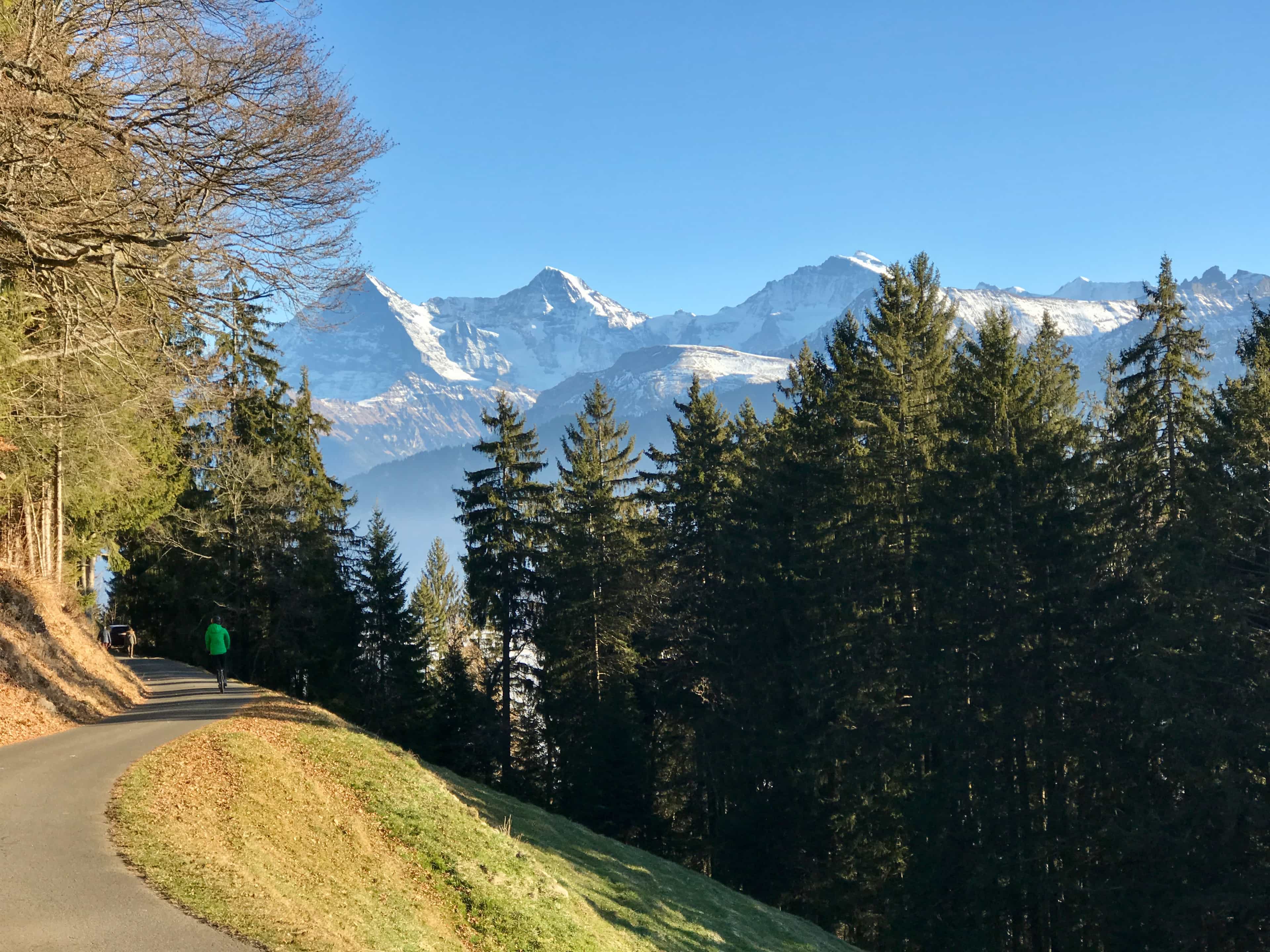 Titelbild Niederhorn und Burgfeldstand