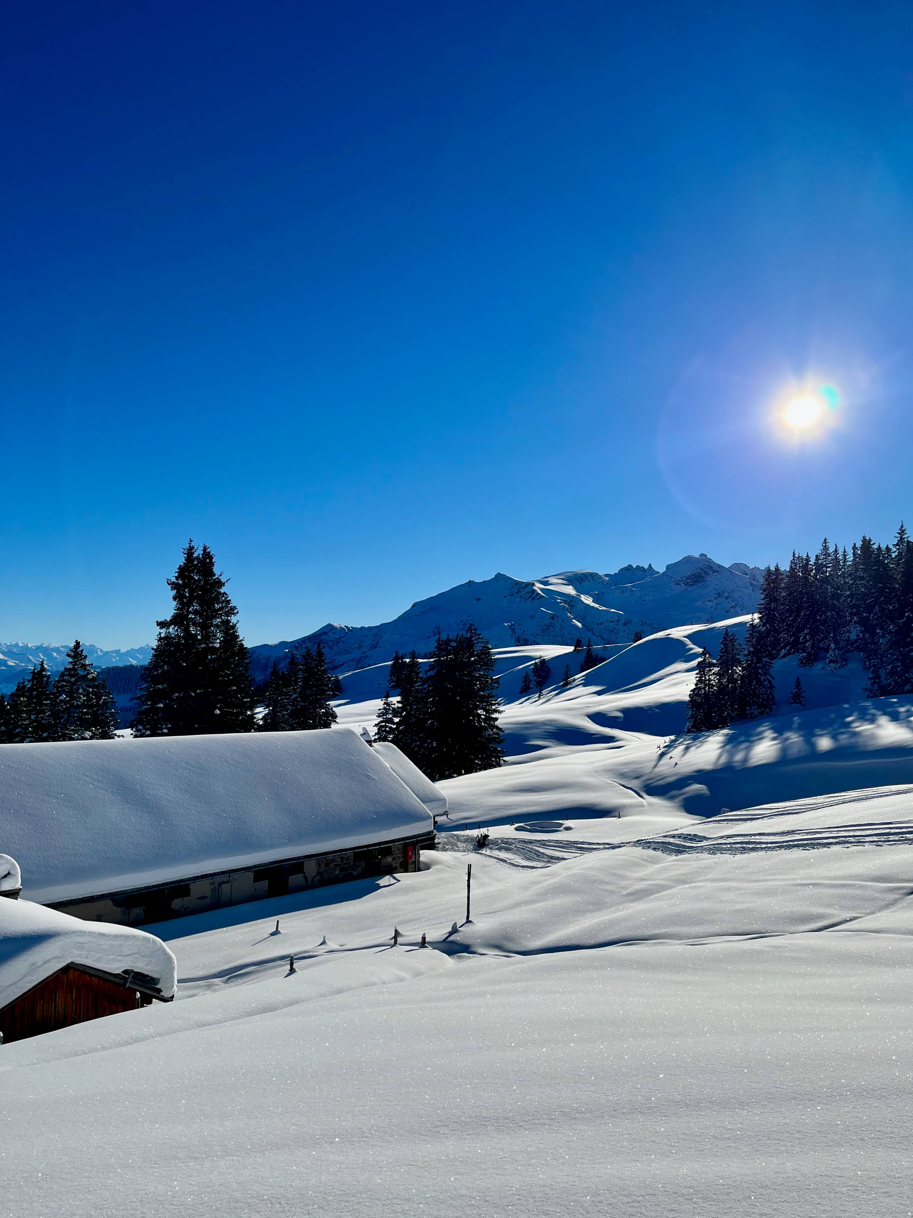 Alp Vorsäss mit Blick zum Pizol